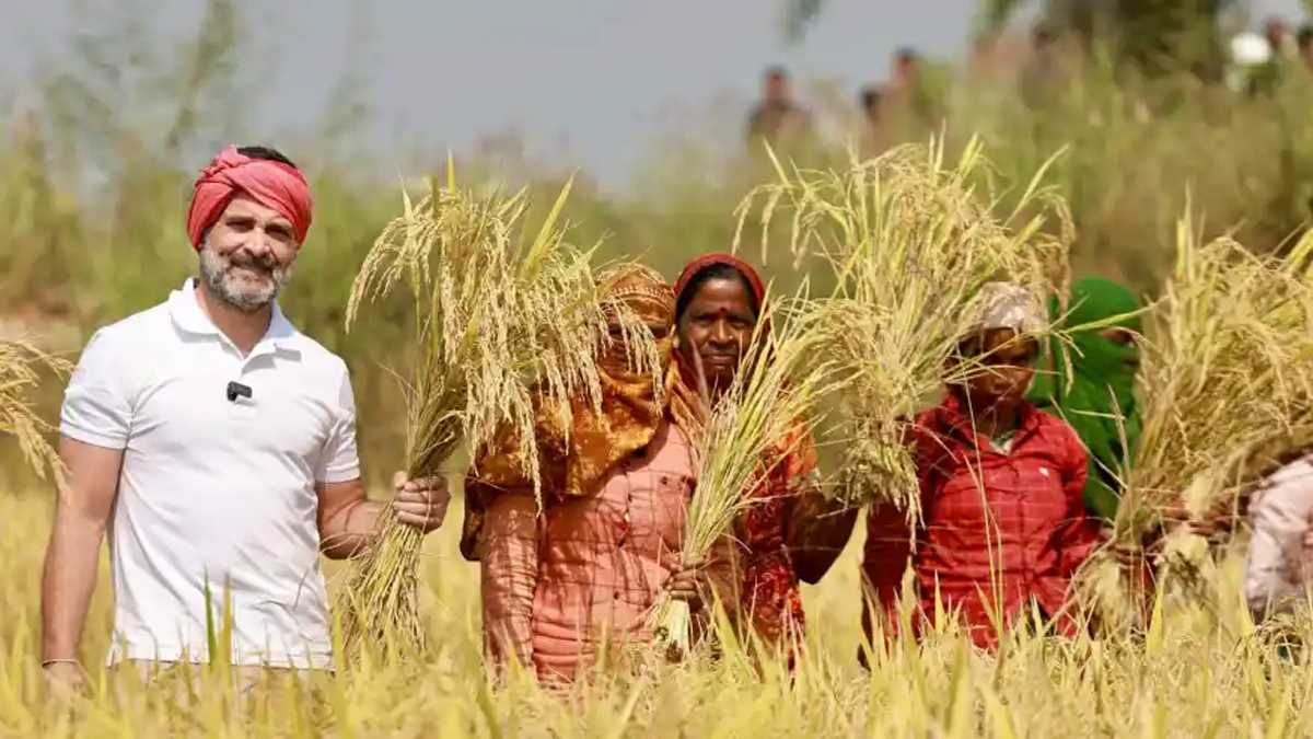 छत्तीसगढ़ में कांग्रेस मजदूरों को सालाना 10 हजार रुपये देगी : राहुल गांधी